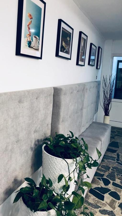 Siechnice Noclegi Exterior foto